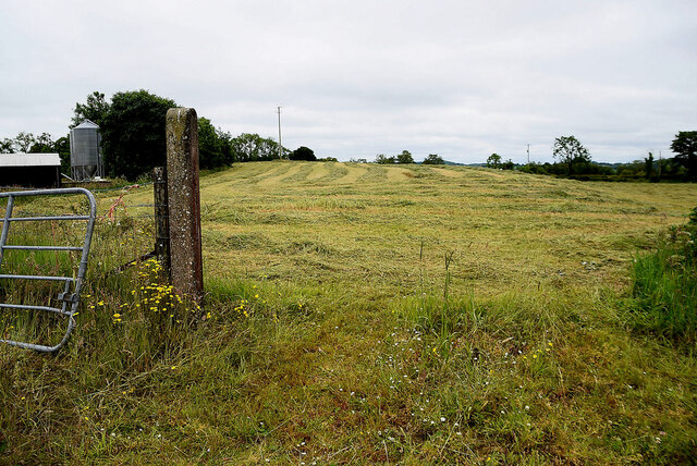 An open field, Fernaghandrum