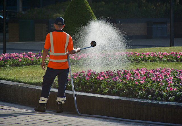 Flowerbed watering, Hull