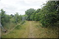 Path leading towards Panshanger