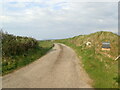 SM8029 : Track to Cwmwdig Farm by Eirian Evans