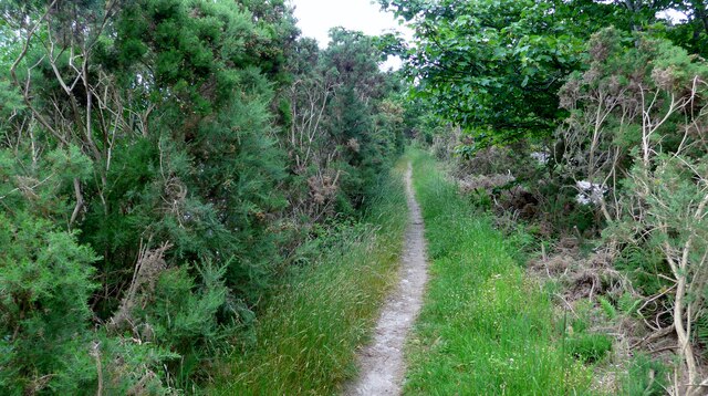 The Speyside Way traverses a narrow path
