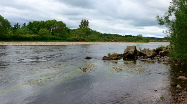 The River Spey downstream of Fochabers