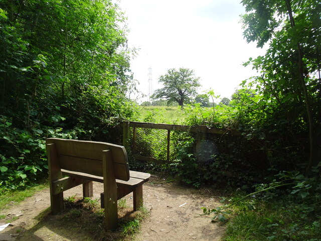 Bench View by Gordon Griffiths