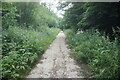 Green Lane towards Black Fan Road