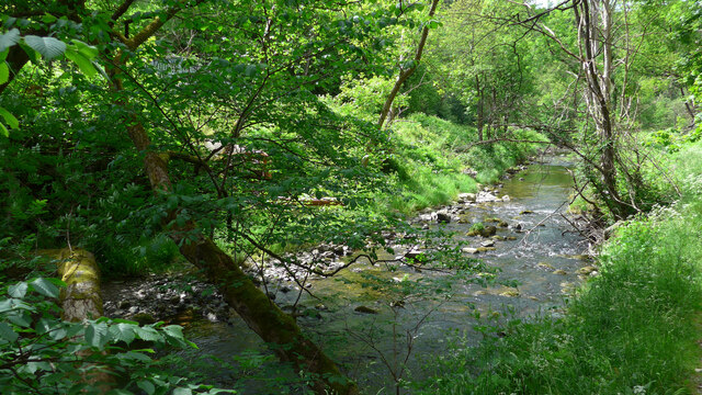 The Dullan Water near Kirktown of Mortlach