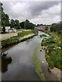 Part of the River Wansbeck viewed from Telford