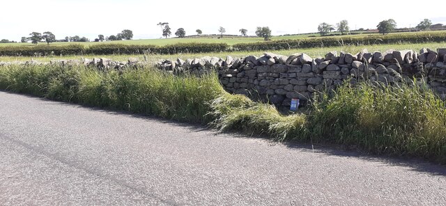 Fields and dry stone wall on south side of rural road east of Clifton Cross