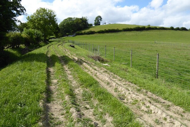 Footpath and tyre tracks
