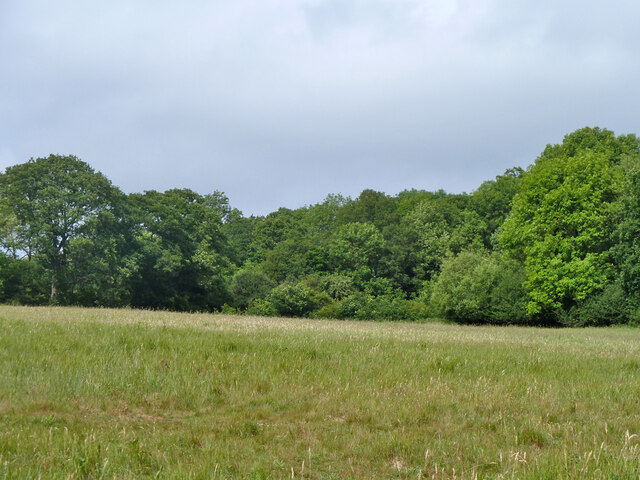 Field north-west of Waystrode Manor