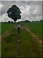 On a footpath across fields near Morpeth