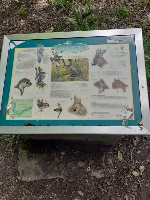 Information board in Chapel Wood near Morpeth