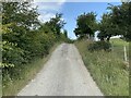 SJ1269 : Unsurfaced road near Nant Coed-y-mynydd by John H Darch