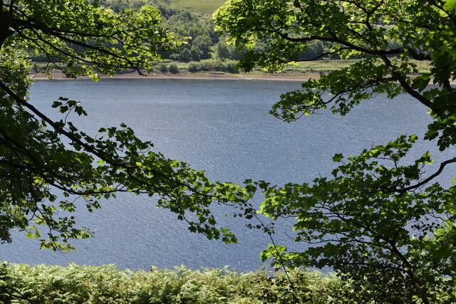 Torside Reservoir seen through woodland