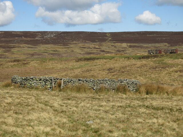Sheepfold in the valley of Devils Water west of Harwood Shield (2)