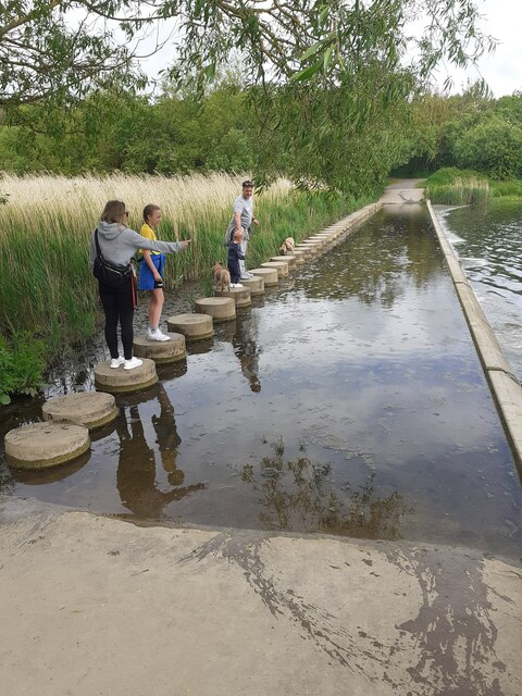 Stepping stones at the weir