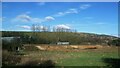 Tree Clearance on Railway Embankment