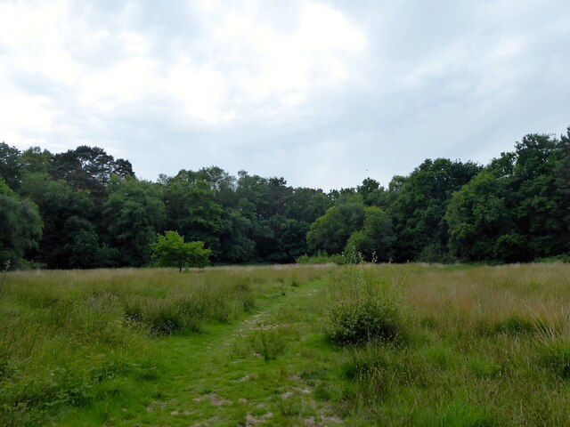 Former Recreation Ground, Ashdown Forest