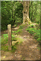 Byway above Pant-y-rhiw Outdoor Centre