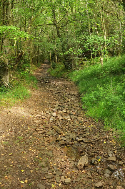 Footpath to Pant-y-rhiw Outdoor Centre