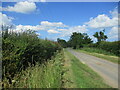 Grange Lane near Grange Farm