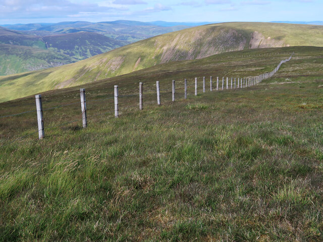 Fence on Molls Cleuch Dod