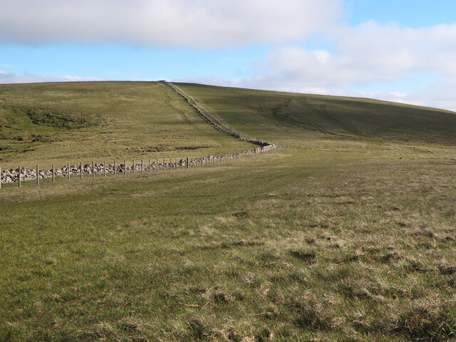 Drystane dyke and fence on Firthhope Rig
