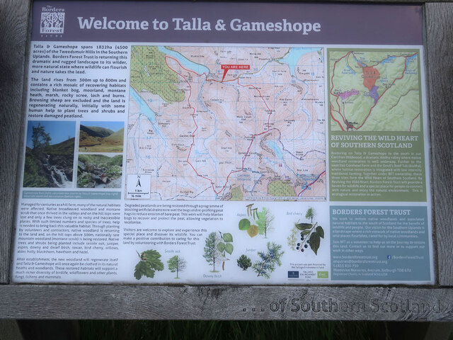 Border Forest Trust information board at Talla Water