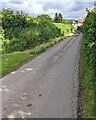 NW along the main road through  Llanveynoe, Herefordshire