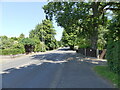 A1151 towards Wroxham centre