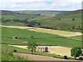 Green and yellow fields near Nun Cote