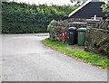 Red and greens near Longtown, Herefordshire