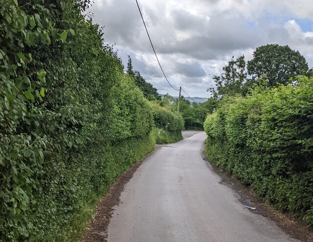 Hedge-lined descent into Longtown, Herefordshire