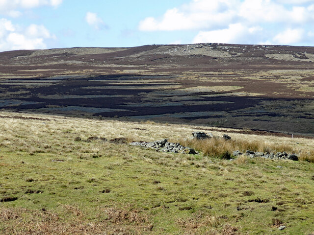 Ruined sheepfold, Harwoodshield Fell