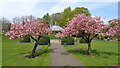 Hare Hill Park Bandstand