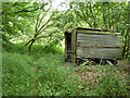 Shed in wood near Lower Stonehurst Farm