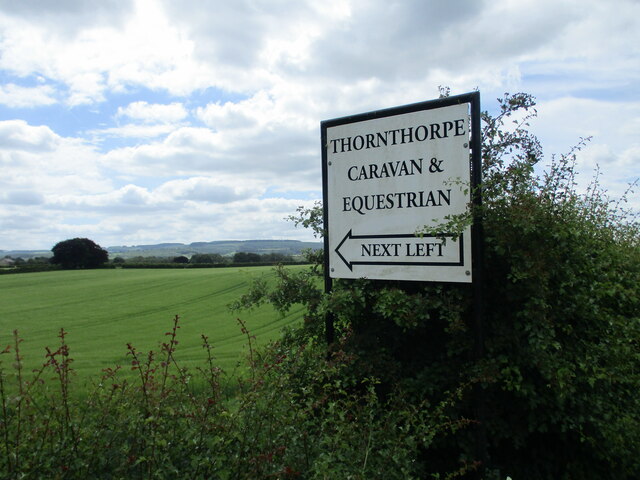 Sign  in  hedge  at  Moorhill  Lane
