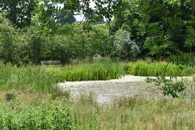 Pond at Crag House Farm