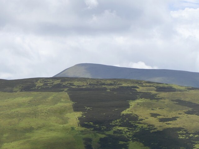 View towards Culter Fell