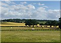 Farmland at Romsley