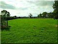 Field of  fresh grass  by Brent Knoll