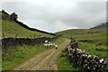 SD8173 : Sheep on Horton Scar Lane by Chris Heaton