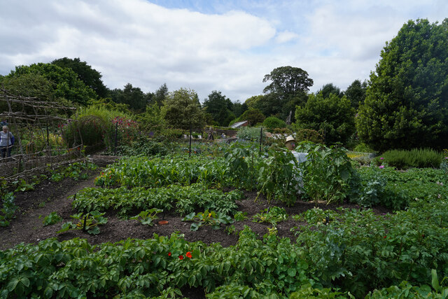The vegetable garden at Calke