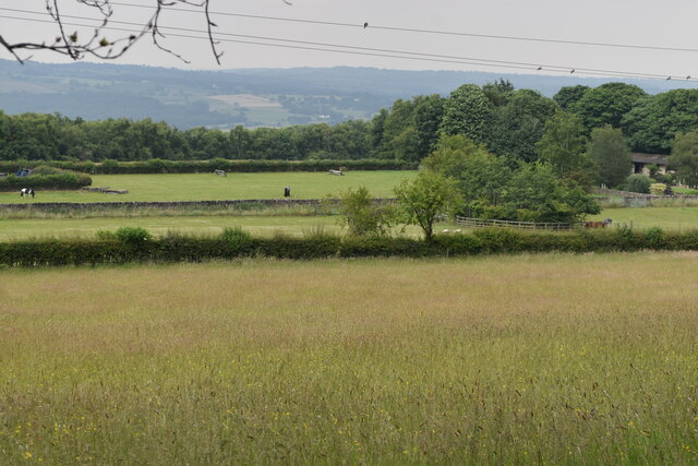 View across fields near Quarry Farm