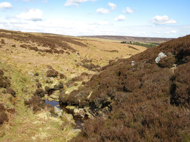 The upper reaches of Devil's Water (2)
