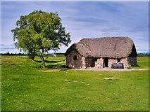 NH7444 : Old Leanach Cottage, Culloden Battlefield by David Dixon