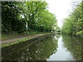 Cyclist on Birmingham & Fazeley canal towpath