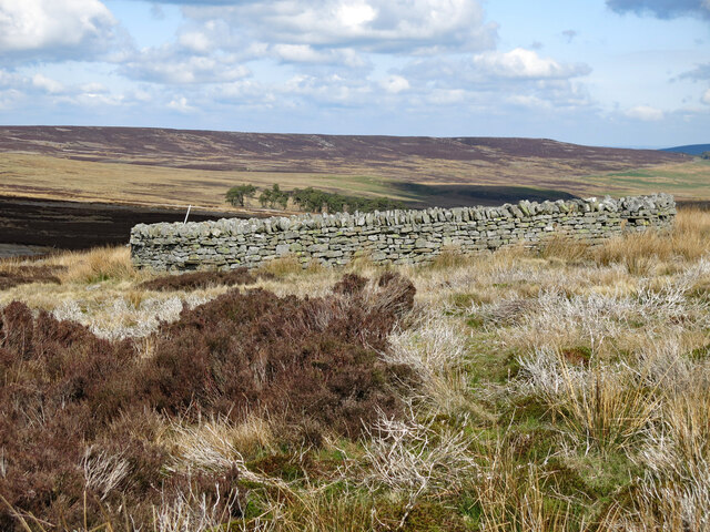 Sheepfold in the headwaters of Devil's Water (2)