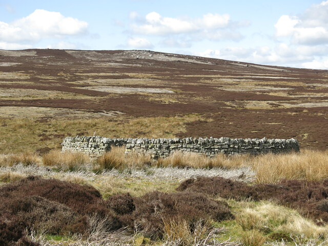 Sheepfold in the headwaters of Devil's Water (4)