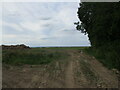 Field entrance near Ulceby Lodge