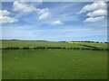 TA1473 : Farmland near Speeton by David Robinson